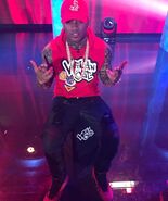 Conceiteds9.jpeg (221 KB)