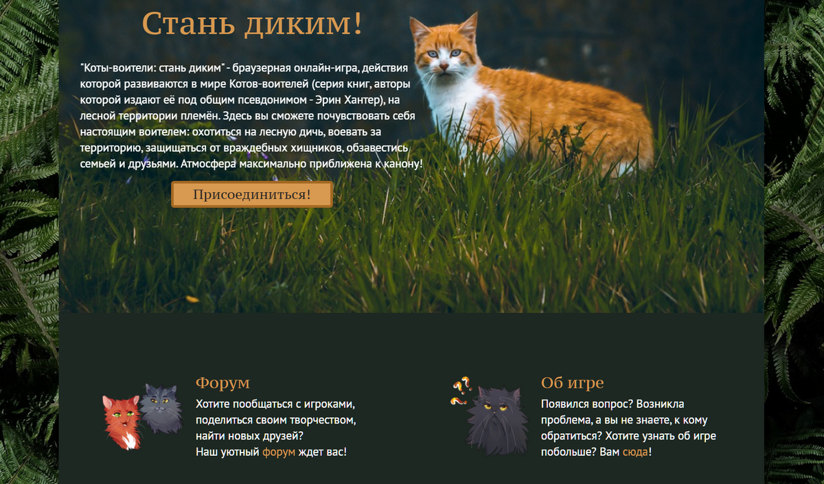 Стань диким. Wild игра коты Воители. Коты-Воители. Стань диким!. Коты Воители Стань диким игра. Коты Воители стан диким.