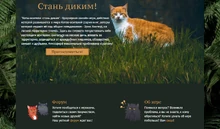 Карта коты воители стань диким