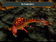 WA2 Salamandra name