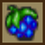 WA3 Potion Berry