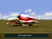 WA Salamandra named