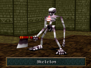 WA Skeleton named