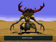 WA Antlion named