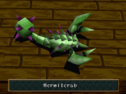 WA Hermitcrab named