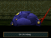 WA Urchinbug named
