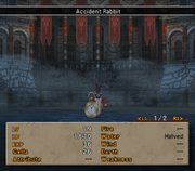WA4 Accident Rabbit Named