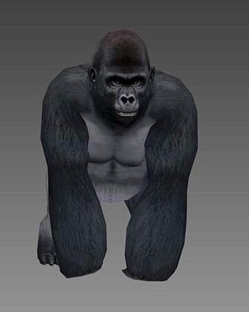 Gorilla Wildcraft Wiki Fandom