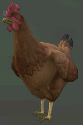 Chicken | WildCraft Wiki | Fandom