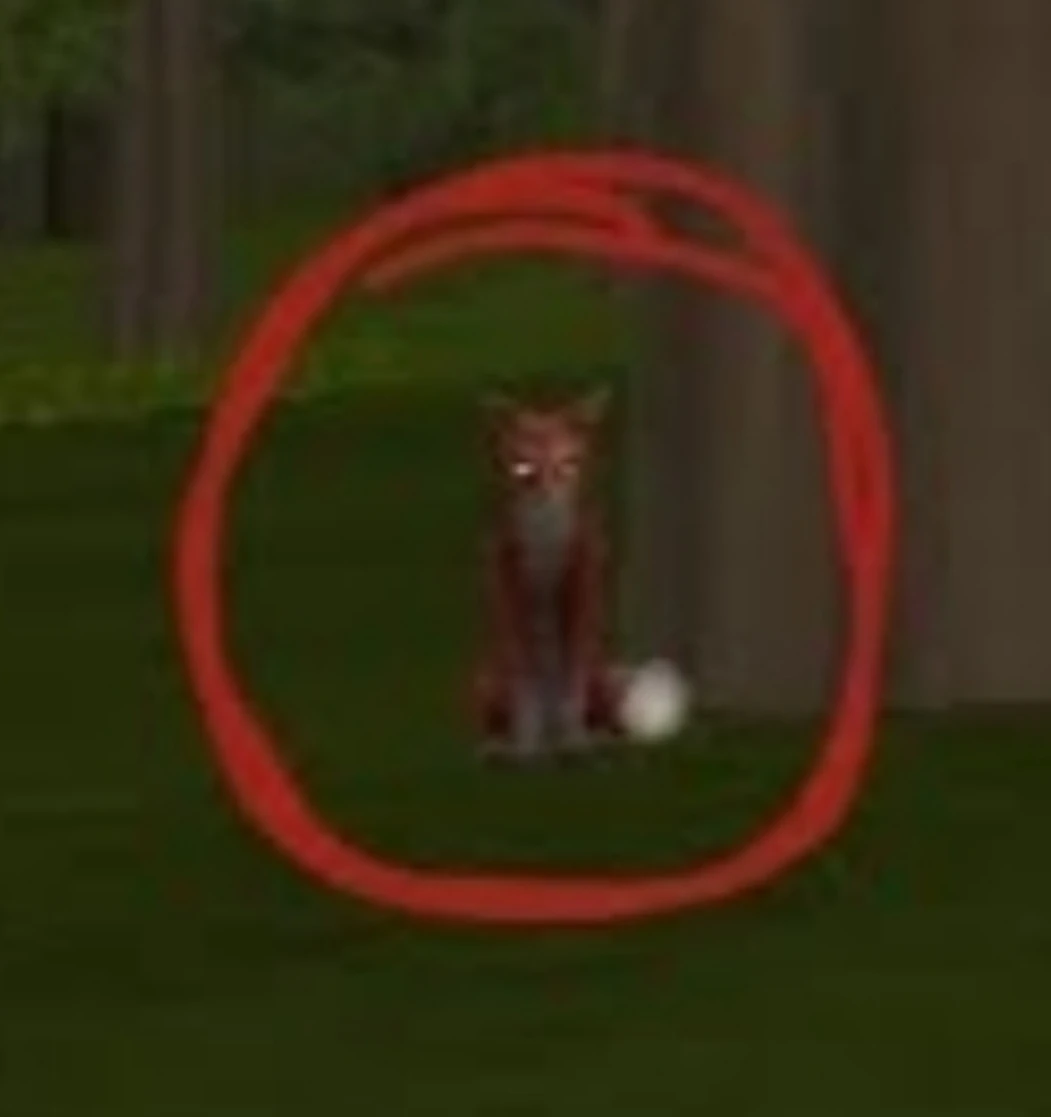 wildcraft water shoes