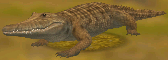 Crocodile, WildCraft Wiki