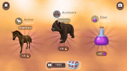 Common Exclusive Bear Accessory (Taken by User:WhitetipTheSeaWing)