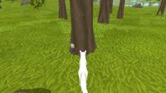 Rabbit stuck in a tree (Taken by Paradox the Phoenix)