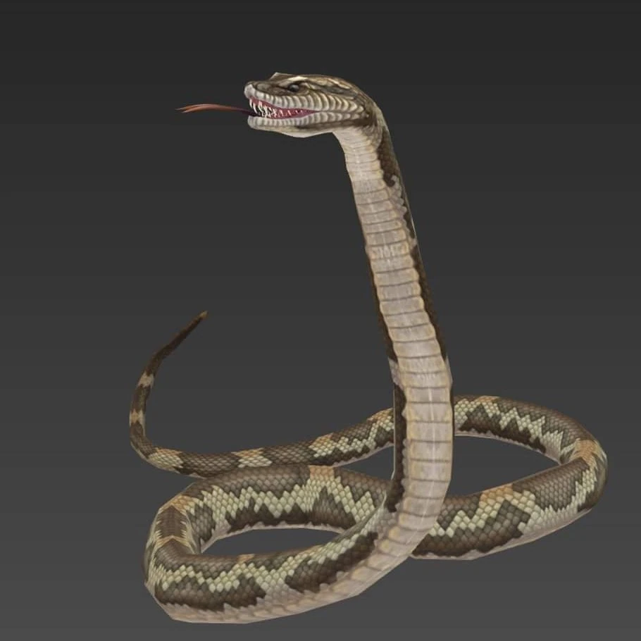 Python | WildCraft Wiki | Fandom