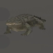 Salt Water Crocodile | WildCraft Wiki | Fandom