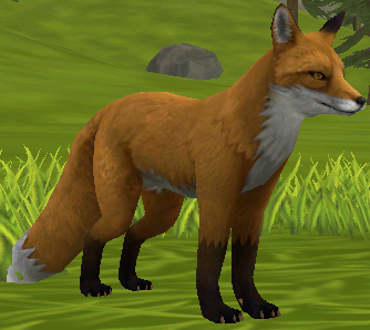 Fox | WildCraft Wiki | Fandom