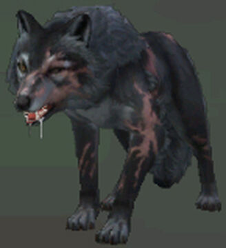 Wildcraft siki new arrivals