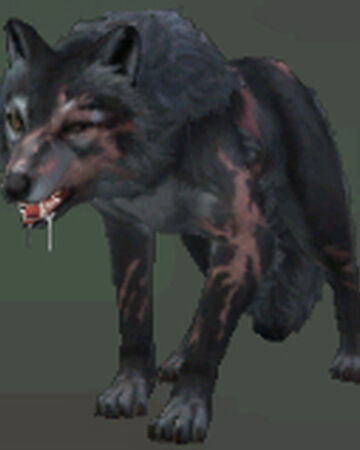 wildcraft wiki fandom