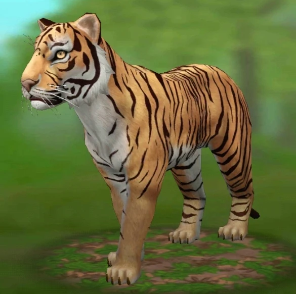 Tiger | WildCraft Wiki | Fandom