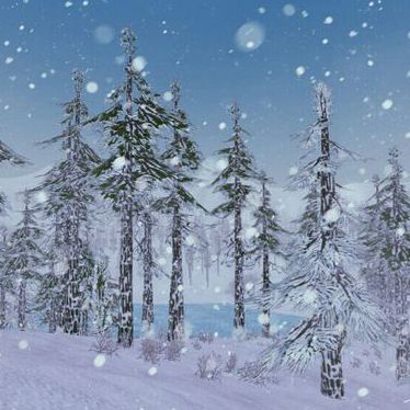 Winter Forest Wildcraft Wiki Fandom