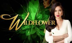 Wildflower (2022 film) - Wikipedia