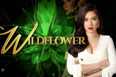 Lily Cruz Wildflower Wiki Fandom