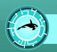 Orca Power Disc