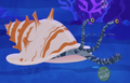 Queen Conch.png (438 KB) Queen Conch