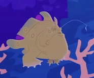 Longlure Frogfish (Antennarius multiocellatus)