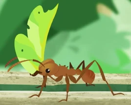 Animation (regular worker) 