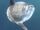 Ocean Sunfish
