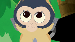 List of animal friends in Wild Kratts | Wild Kratts Wiki | Fandom List of animal friends in Wild Kratts | Wild Kratts Wiki | Fandom