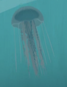 Deep-sea Jellyfish