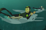 Sharks-Wild Kratts-12