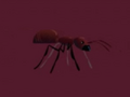Chinese Ant.png (46 KB) Chinese Ant