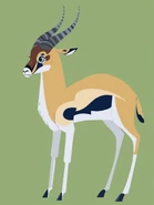 Thomson's Gazelle (Eudorcas thomsonii)