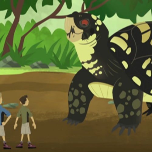 Puffin Rescue Wild Kratts Wiki Fandom