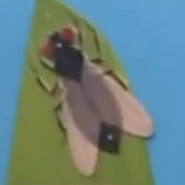 House Fly.png (48 KB) Housefly (Musca domestica)