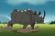 To the rhino, it's pure fear. To the oxpeckers, it's pure "This is the best ride ever!".