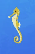 Slender Seahorse (Hippocampus reidi)