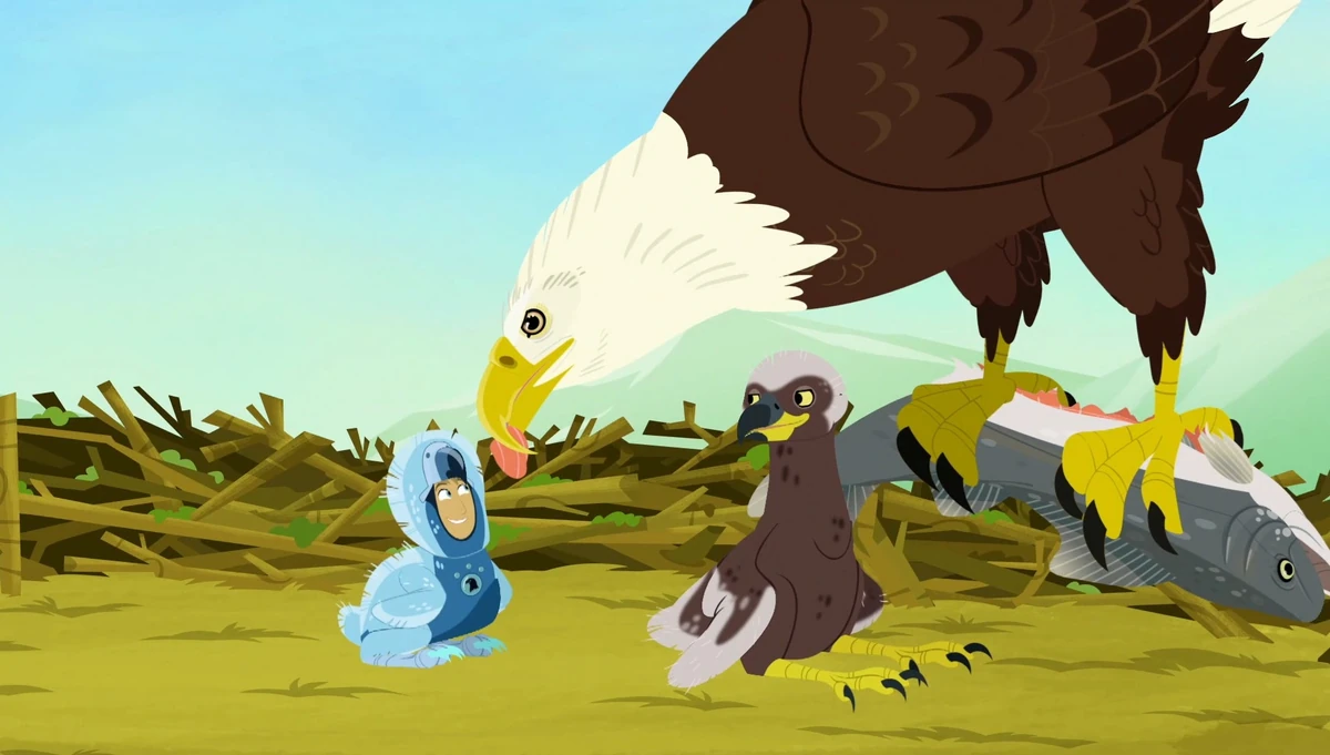 The Fourth Bald Eagle | Wild Kratts Wiki | Fandom