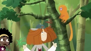Jimmy's golden lion tamarin hairdo
