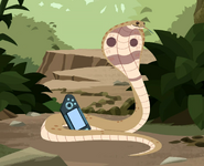 Spectacled cobra (Naja naja)