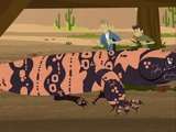 Gila Monster Under My House