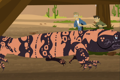 Wild Kratts Groundhog Wake Up Call Full Episode