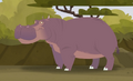 Hippopotamus.png (293 KB) Hippopotamus
