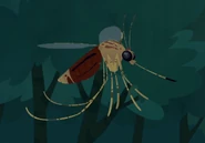 Northern House Mosquito (Culex pipens)