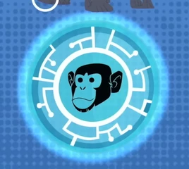 Disc