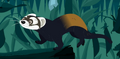European Polecat.png (1.16 MB) European Polecat