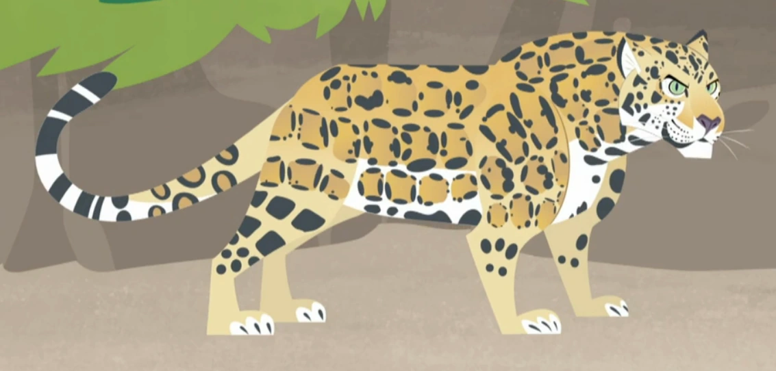 Drawing A Jaguar From Wild Kratts With Basic Shapes And Lines | atelier